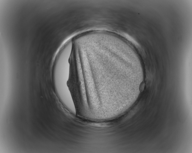 X0000083581272200703091651