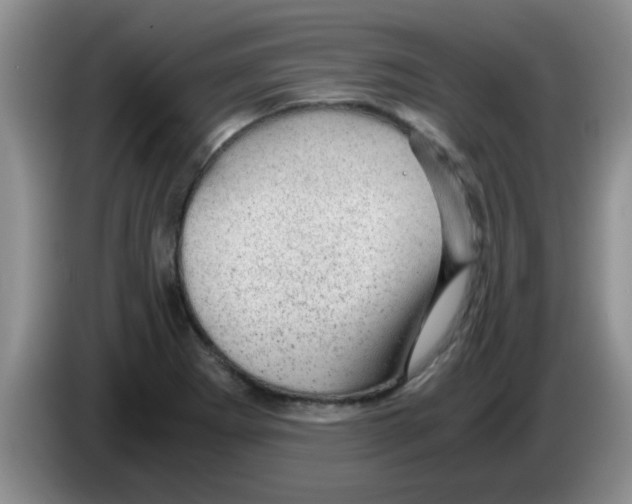 X0000083581273200703091651