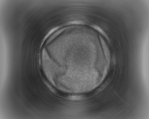 X0000083581274200703091651