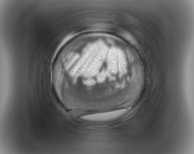 X0000083581275200703091651