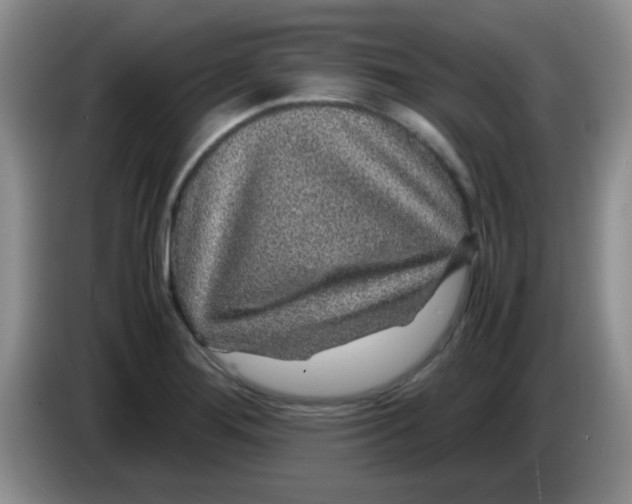 X0000083581276200703091651