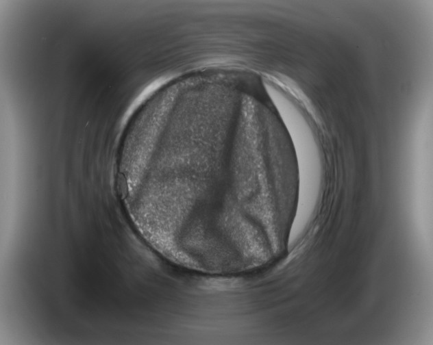X0000083581277200703091651
