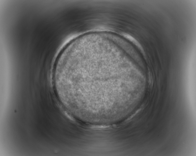 X0000083581278200703091651