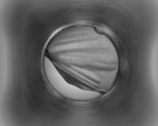 X0000083581280200703091651