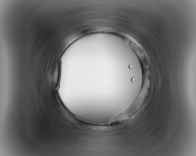X0000083581281200703091651