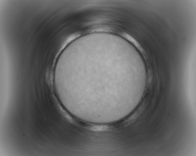 X0000083581282200703091651