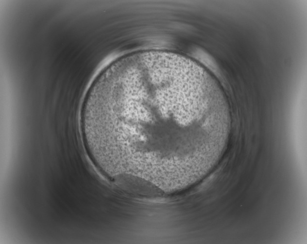 X0000083581283200703091651