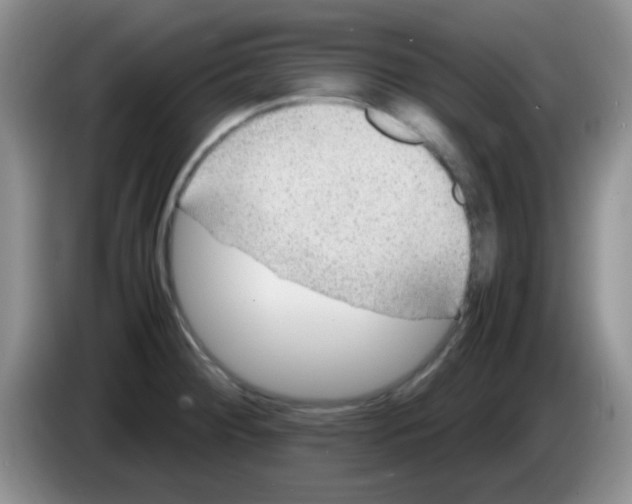 X0000083581284200703091651