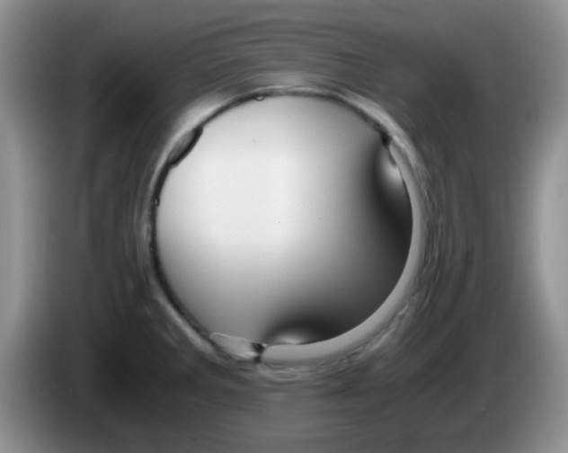 X0000083581285200703091651