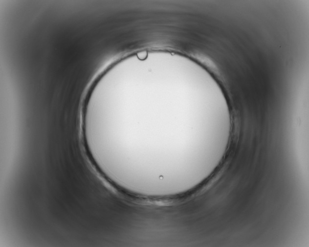 X0000083581286200703091651