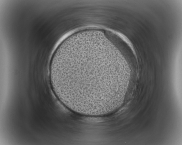 X0000083581287200703091651