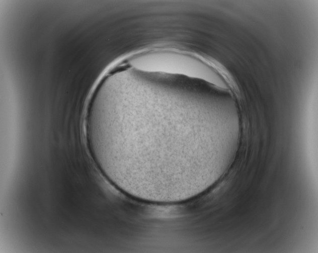 X0000083581288200703091651