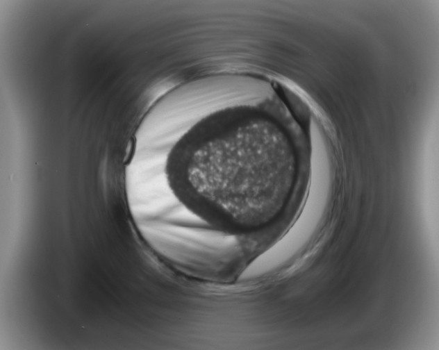 X0000083581289200703091651