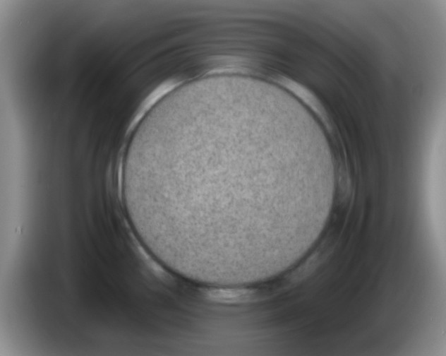 X0000083581290200703091651