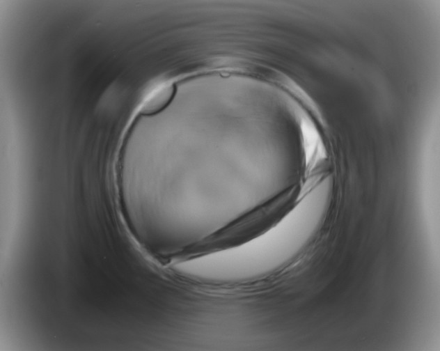 X0000083581291200703091650
