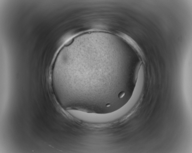 X0000083581292200703091650