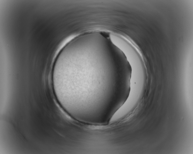 X0000083581293200703091650
