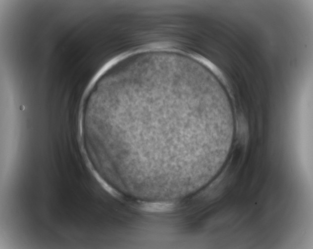 X0000083581294200703091650