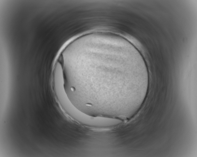 X0000083581296200703091650
