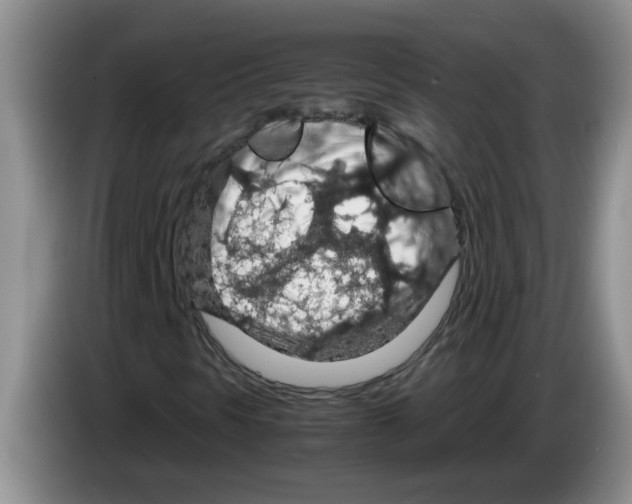 X0000083581297200703091650