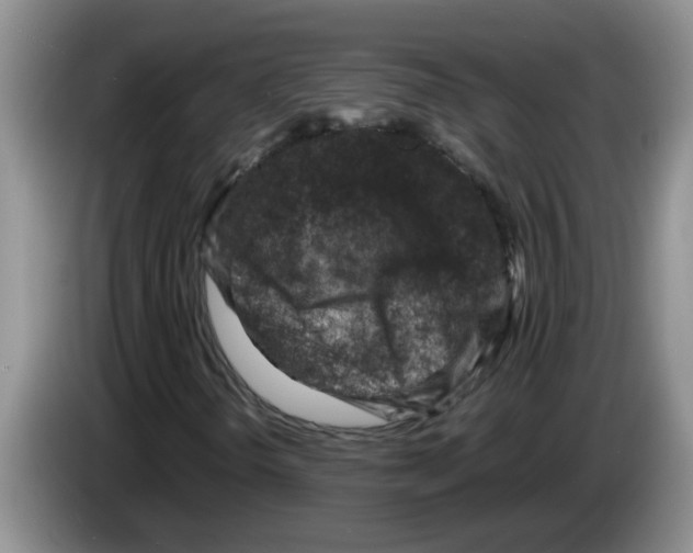 X0000083581298200703091650