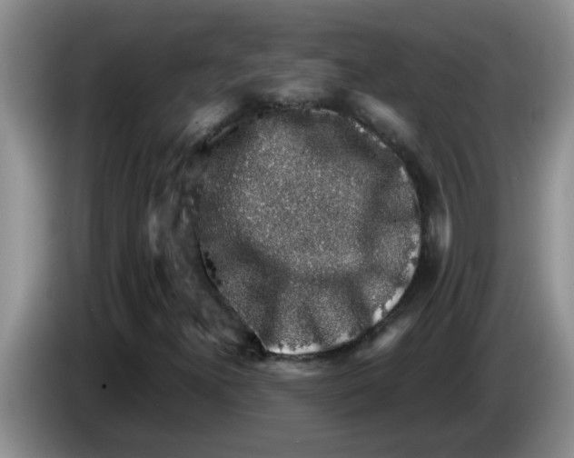 X0000083581300200703091650