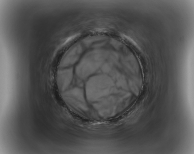 X0000083581303200703091650
