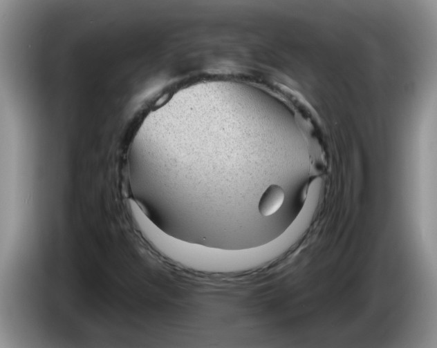 X0000083581304200703091650