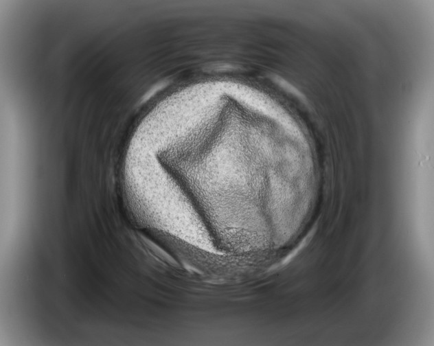 X0000083581305200703091650