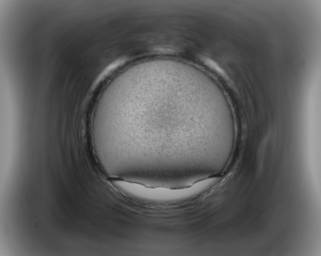 X0000083581307200703091650