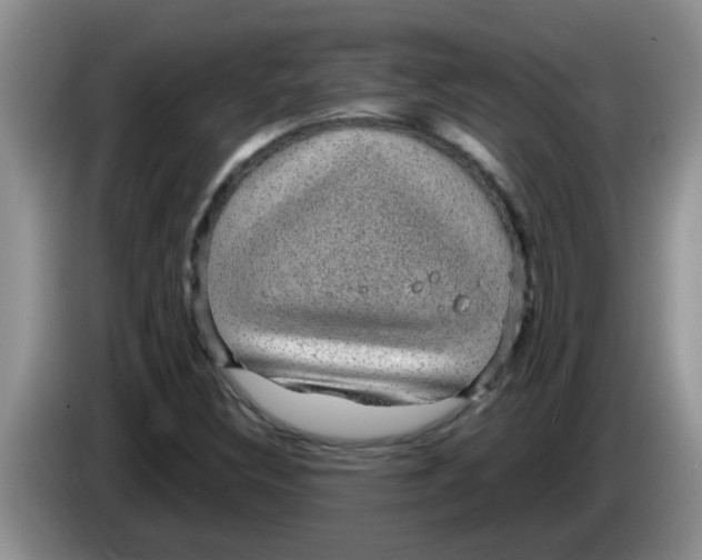 X0000083581308200703091650