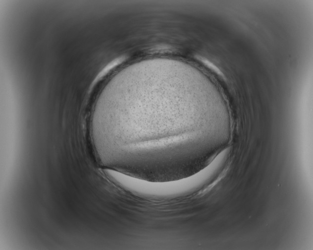 X0000083581309200703091650
