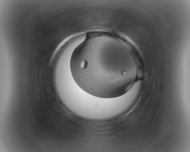 X0000083581310200703091650