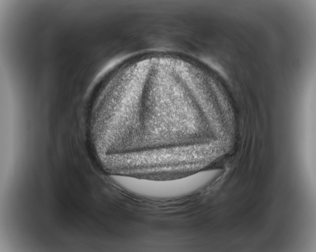 X0000083581311200703091650