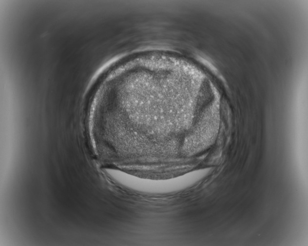 X0000083581312200703091650