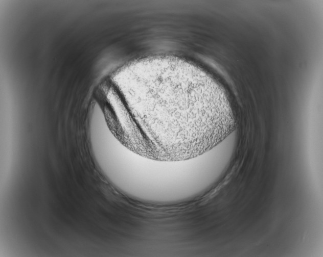 X0000083581314200703091650