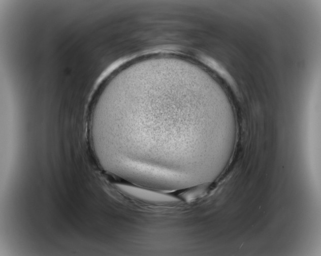 X0000083581316200703091650