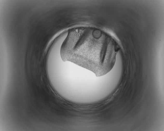 X0000083581318200703091650