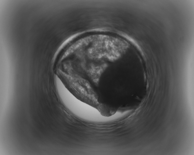 X0000083581319200703091650