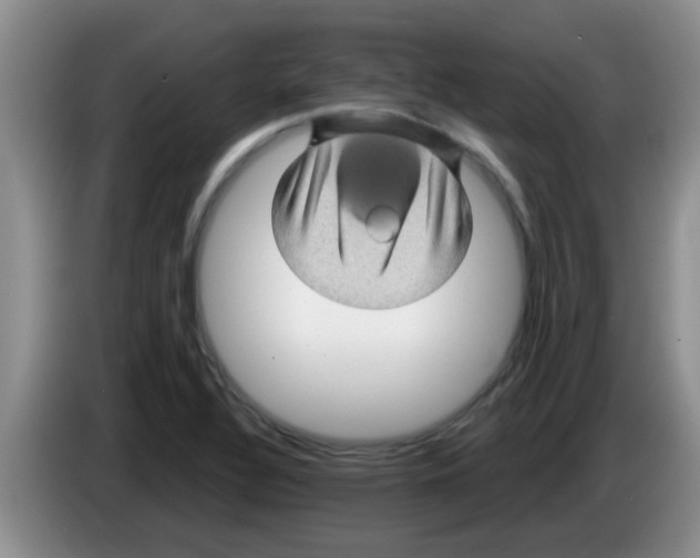 X0000083581320200703091650