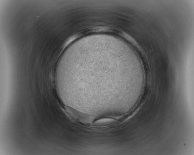 X0000083581321200703091650