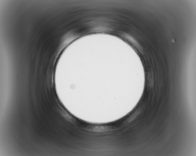 X0000083581322200703091650