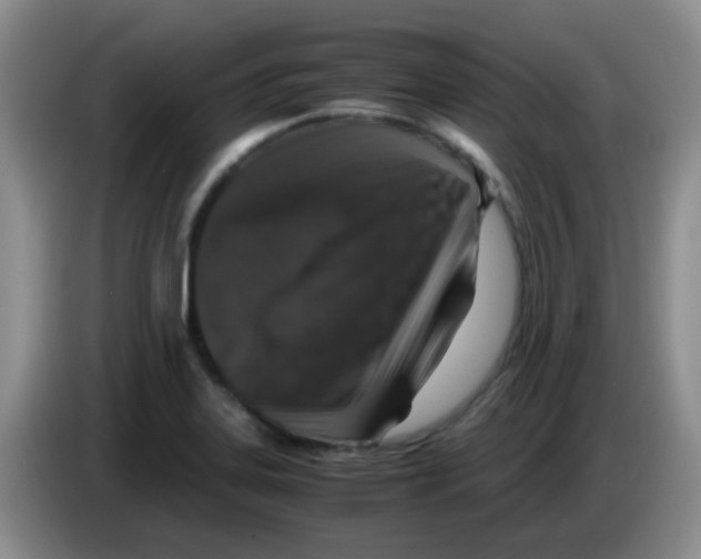 X0000083581323200703091650