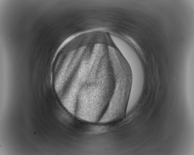 X0000083581324200703091650