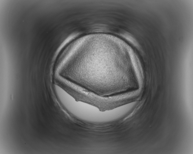 X0000083581325200703091650