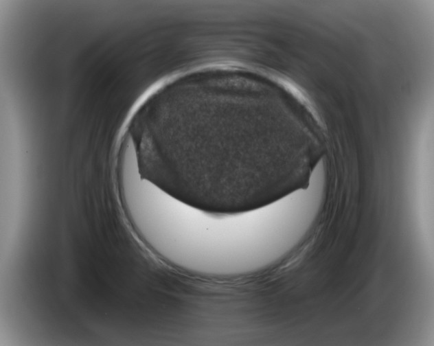 X0000083581326200703091650