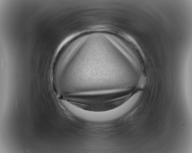 X0000083581328200703091650