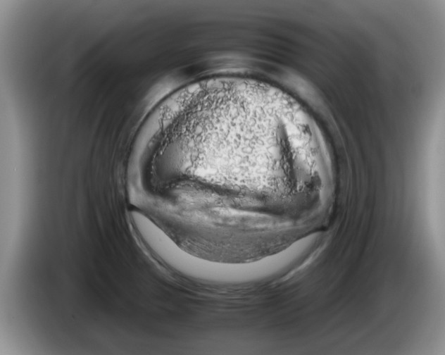 X0000083581329200703091650