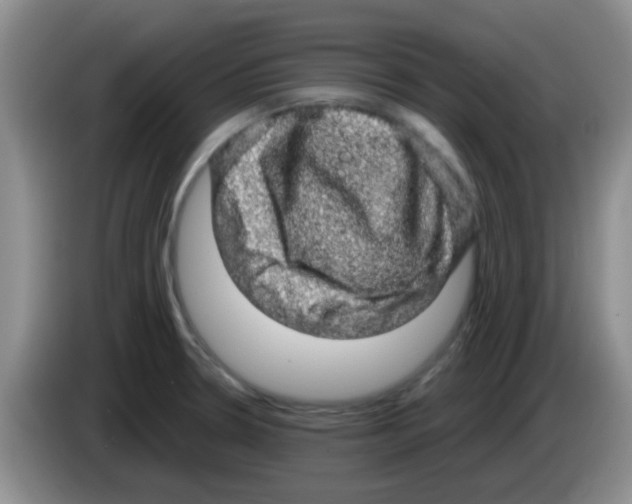 X0000083581330200703091650