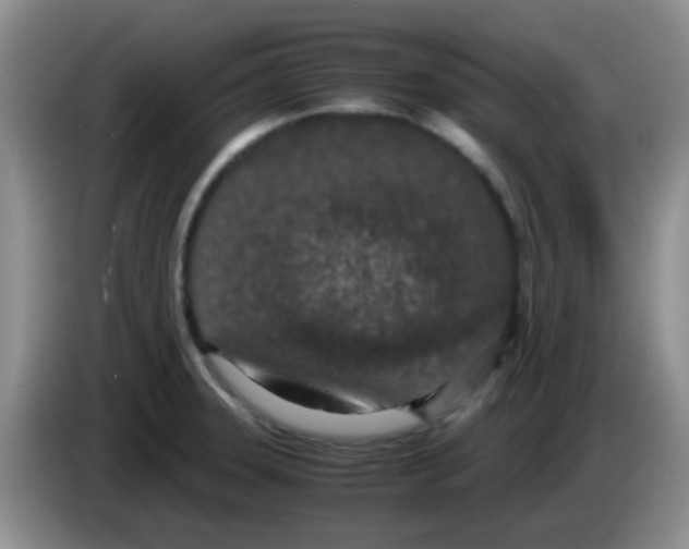 X0000083581331200703091650